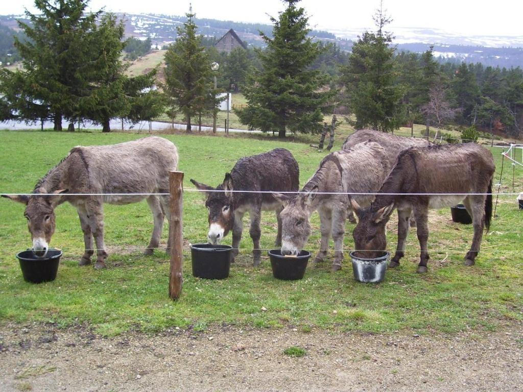Hotel Le Refuge Mas-dʼOrcières Zewnętrze zdjęcie