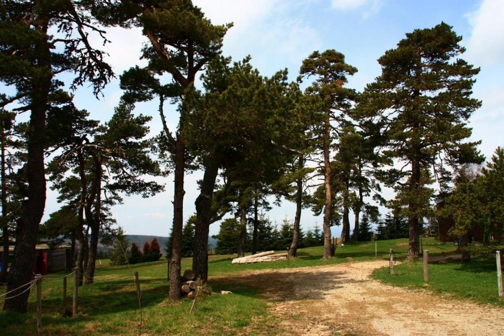 Hotel Le Refuge Mas-dʼOrcières Zewnętrze zdjęcie